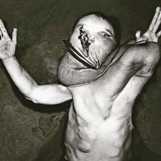 CLINT ENNS - Plasmatic Bodies