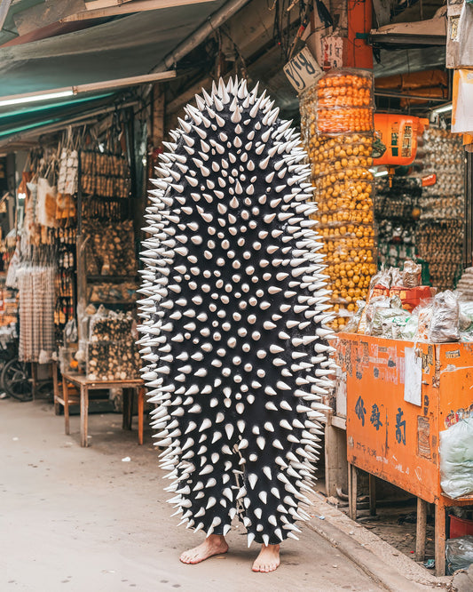 JULIEN BONET - Pandemic